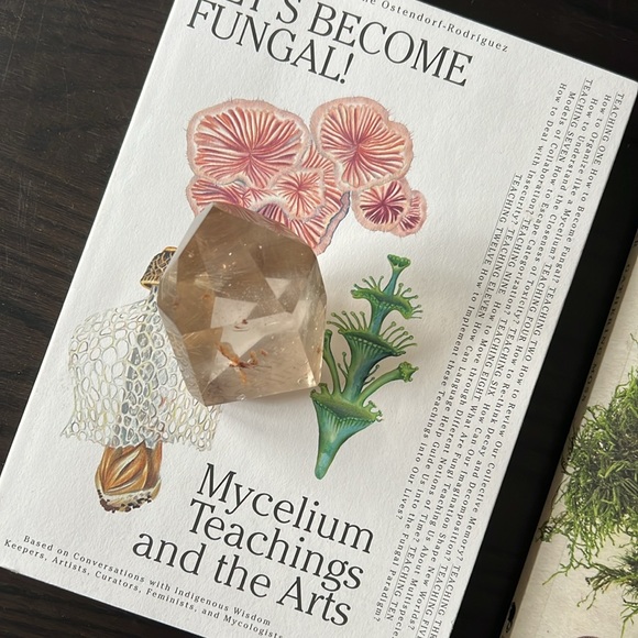 smoky quartz rutile w/ golden healer inclusions - Picture 12 of 16